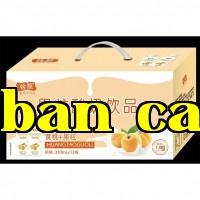 Đồ uống sữa chua hạt thuận