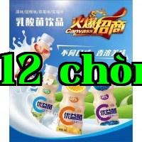 Đang tuyển đại lý đồ uống lợi khuẩn Lactobacillus nóng bỏng